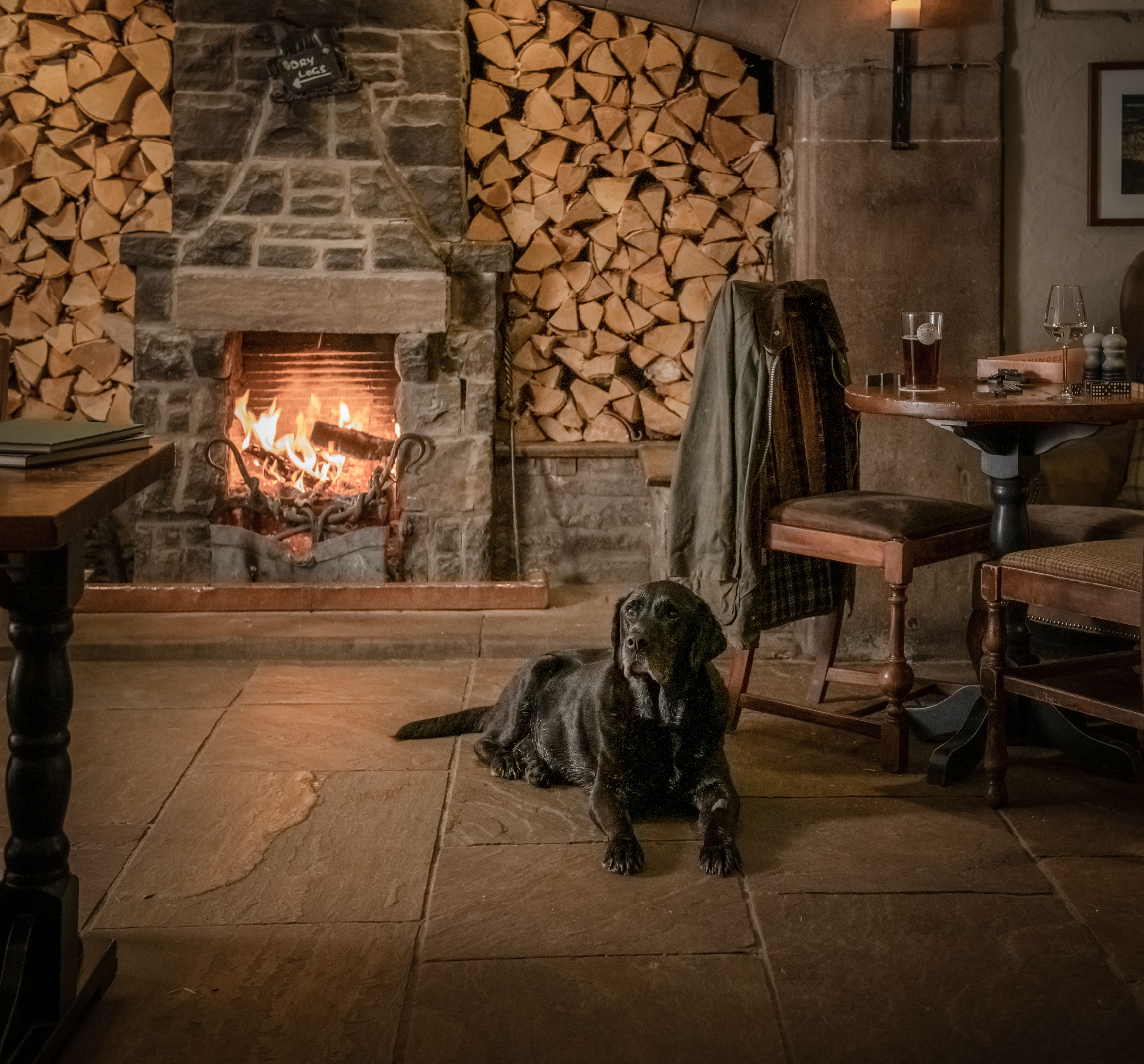 dog in front of fire