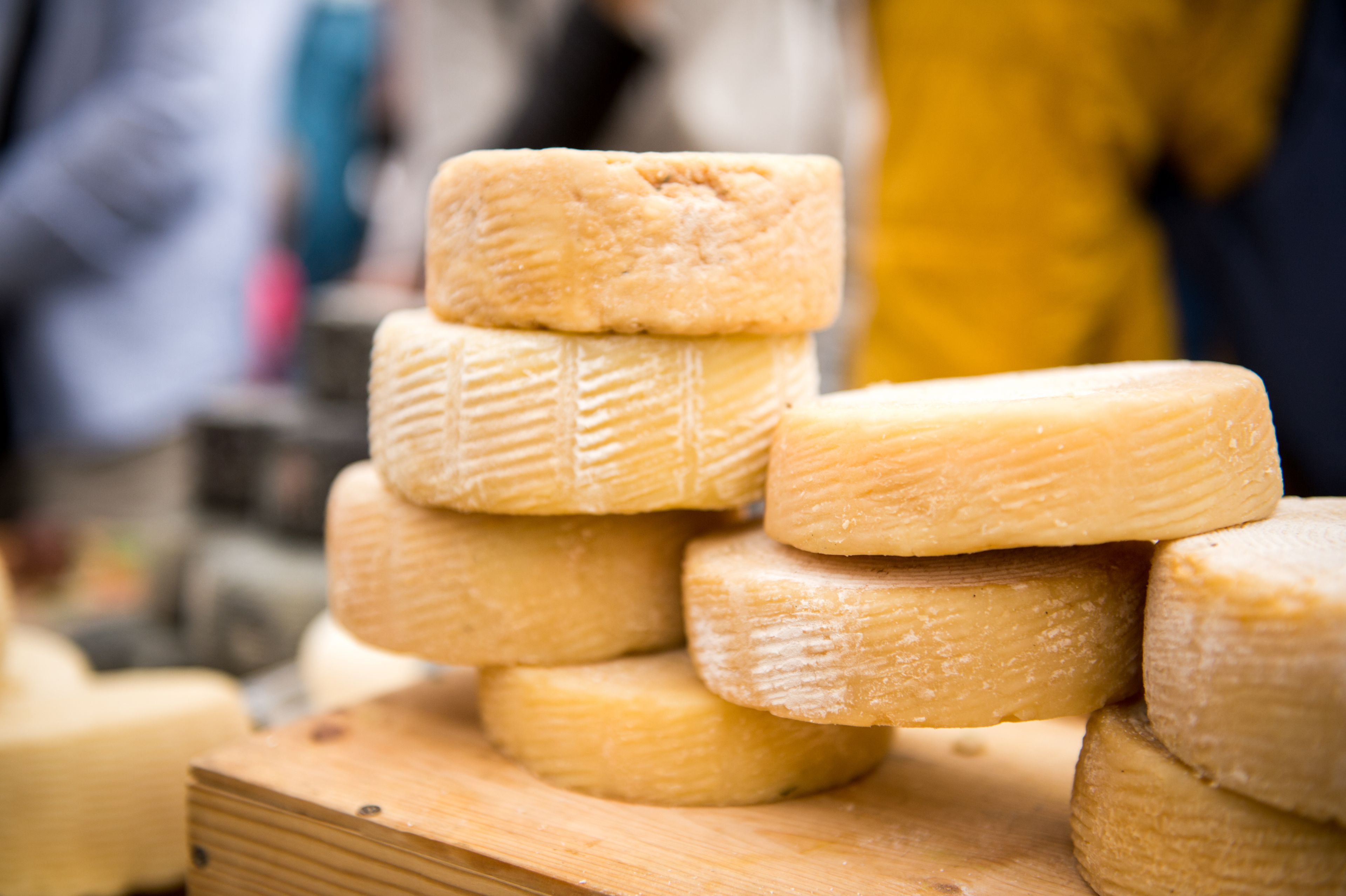Cheese at the Yorkshire Dales Cheese Festival